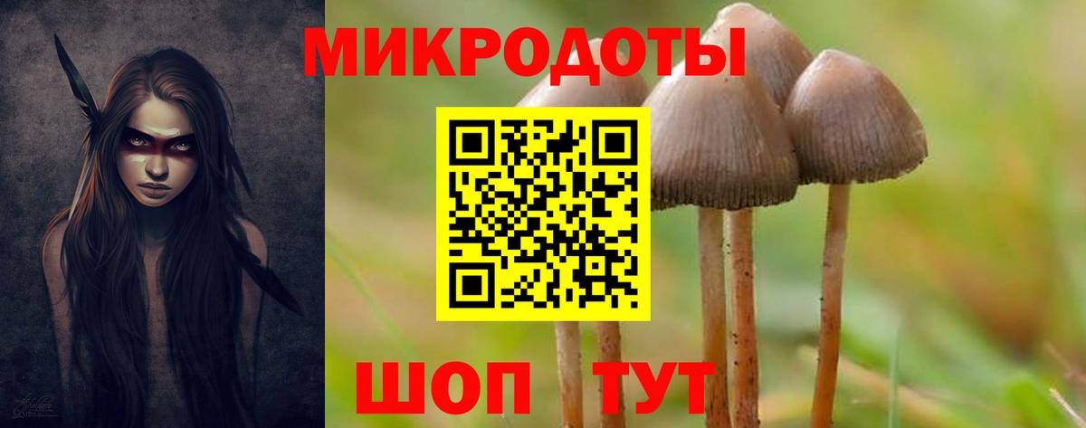 Галлюциногенные грибы Cubensis  Вход с VPN  Кондопога 